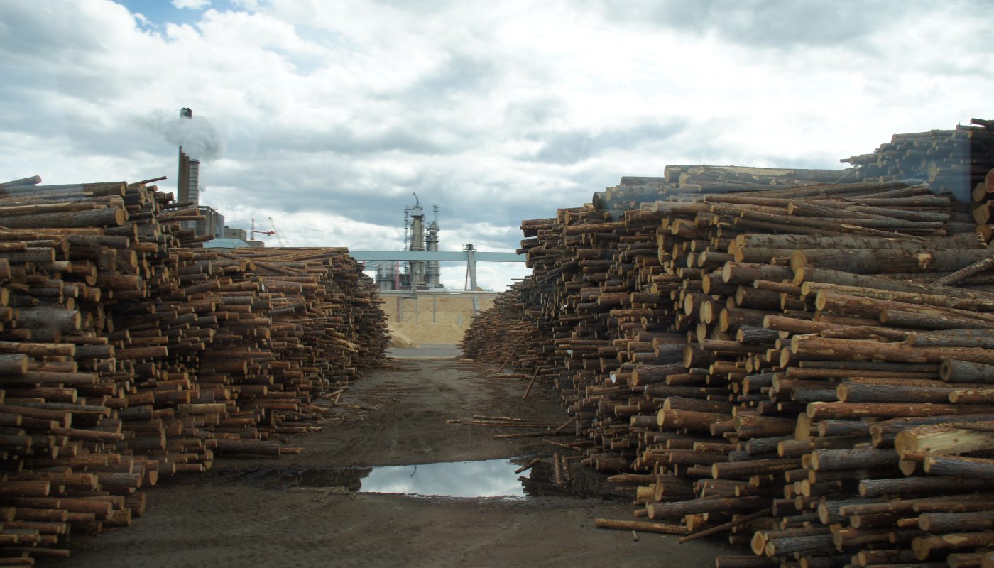 Das Holzlager der Papiermühle von Iggesund. Alle acht Minuten wird hier ein 40-Tonner entladen